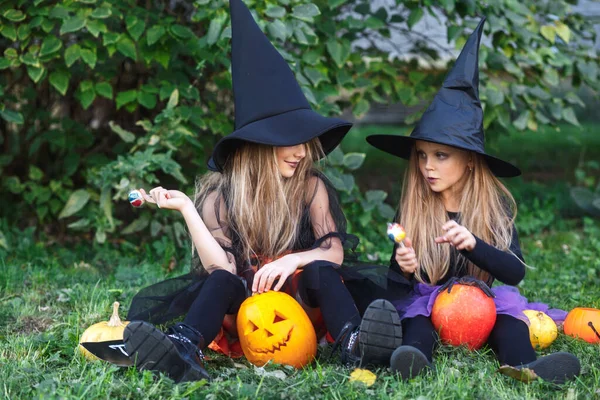 Twee grappige zusjes in heksenkostuums met Halloween snoep en pompoenen buiten — Stockfoto