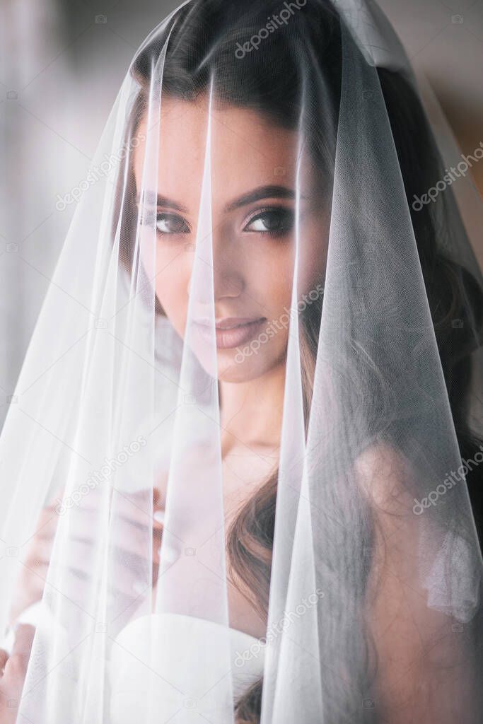 Beautiful bride portrait with veil over her face.Closeup portrait of young gorgeous bride. Wedding.