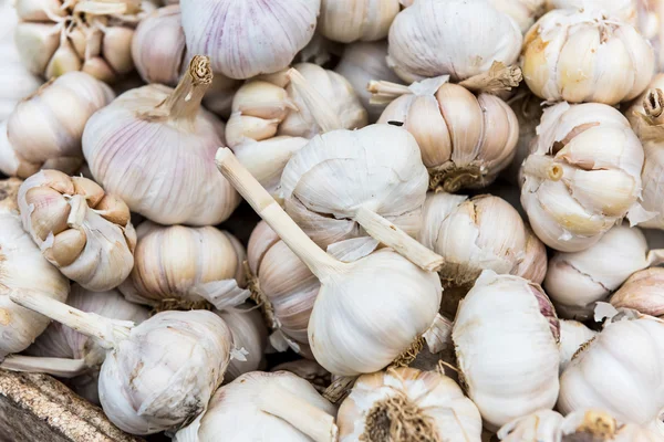 Many loose heads of white purple garlic for sale in a basket dis — Stock Photo, Image