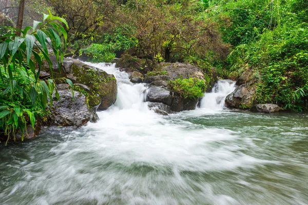 Paisaje de selva tropical con hermosa cascada, rocas y — Foto de Stock