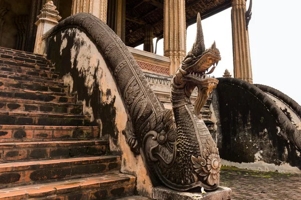 Vintage oude leeftijd gigantische slang, Naka, Zuid-Oost Aziatische Dragon op een — Stockfoto