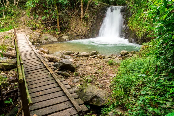 Tropische Regenwaldlandschaft mit wunderschönem Wasserfall, Felsen und Stockbild