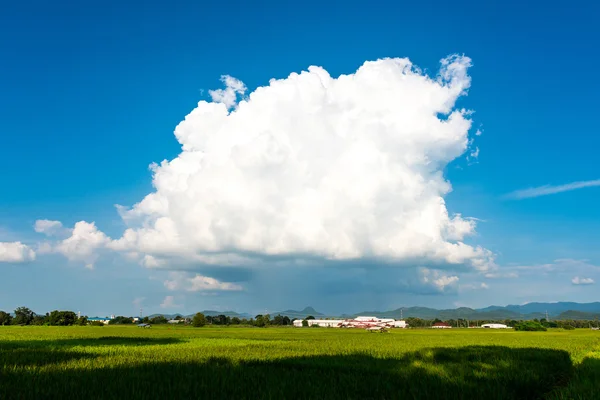 Landscape with a beautiful blue cloudy sky — Stock Photo, Image