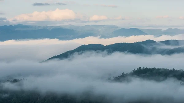 晨雾在茂密的热带雨林，朦胧山林 — 图库照片