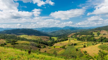 Mısır ve pirinç alanları Tayland dağ aralığında