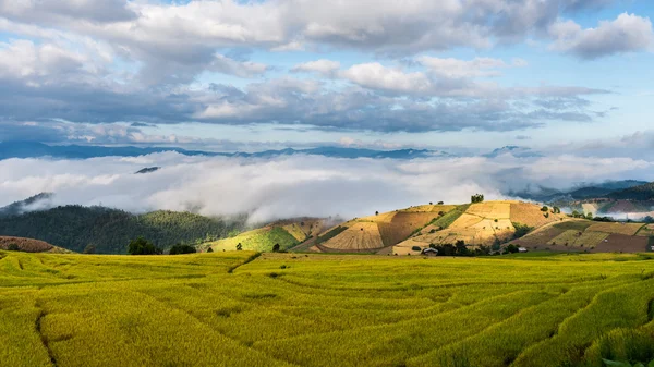 Campos de arroz en terrazas en el norte de Tailandia, Pa pong peang, Chiang — Foto de Stock