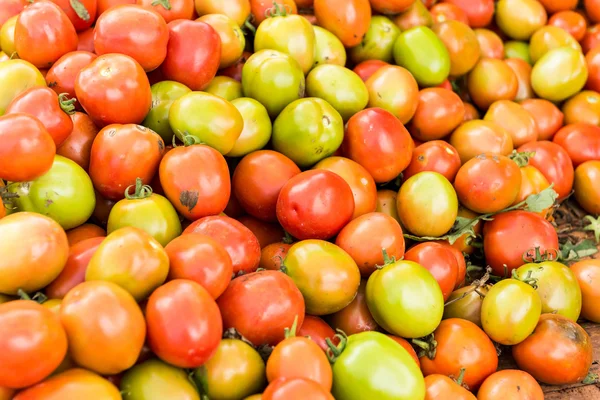 Tomate fundo. Grupo de tomates — Fotografia de Stock
