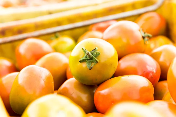 Tomate fundo. Grupo de tomates — Fotografia de Stock