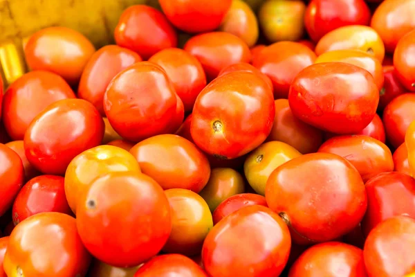 Tomate fundo. Grupo de tomates — Fotografia de Stock