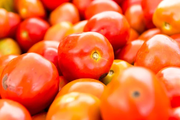 Tomate fundo. Grupo de tomates — Fotografia de Stock