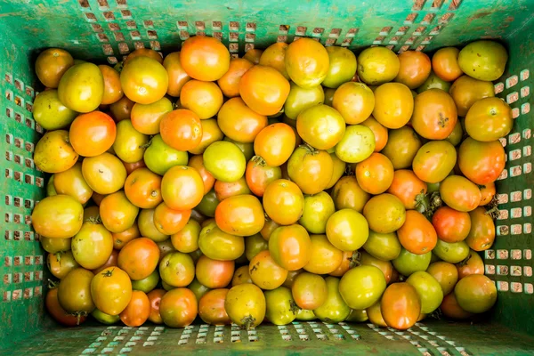 Tomater bakgrund. Grupp av tomater — Stockfoto