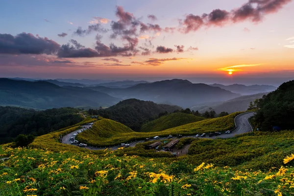 Landscape sunset nature flower Tung Bua Tong, Mexican sunflower weed valley in Maehongson Province, Thailand. — Stock Photo, Image