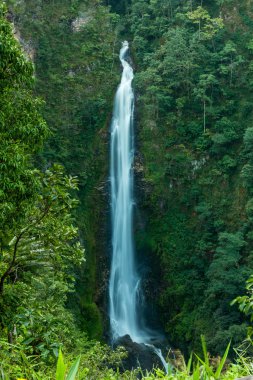 Mae Surin Şelalesi Mae Hong Son, Tayland