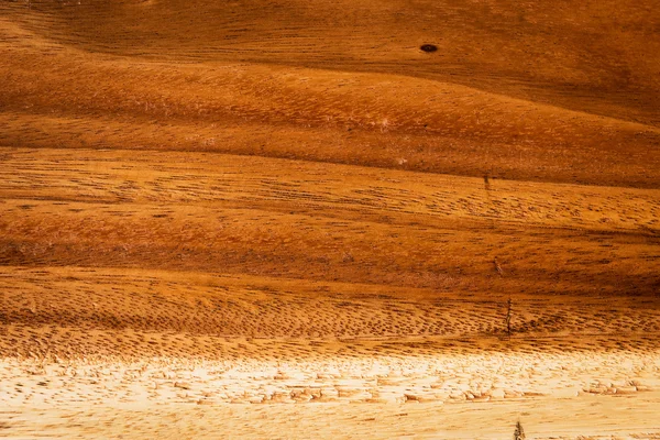 Textura del fondo de madera —  Fotos de Stock