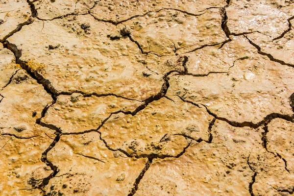 Texture sèche du sol fond — Photo