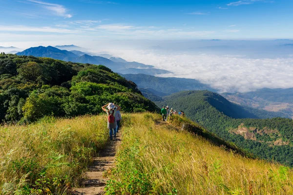 Fog over the mountain and tourist, Doi Inthanon national park th — Stock Photo, Image