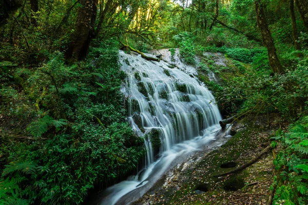 Waterfall in hill evergreen forest of Doi Inthanon, Chiang Mai,