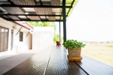 çiçek saksı dekorasyon ahşap tablo