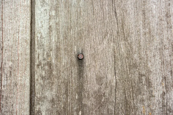 rusty nail in wood plank with grain texture