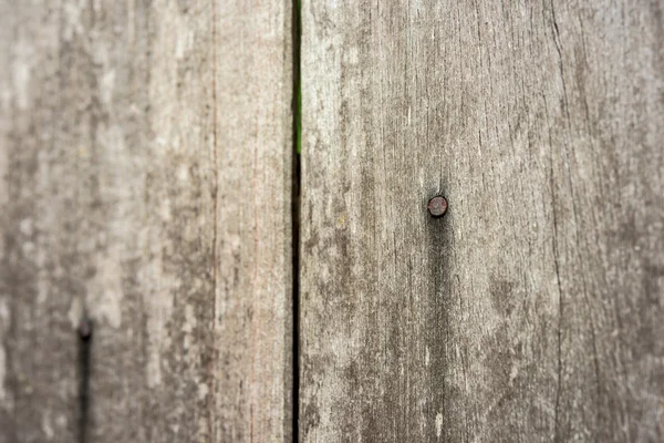 Rostig spik i trä planka med säd struktur — Stockfoto