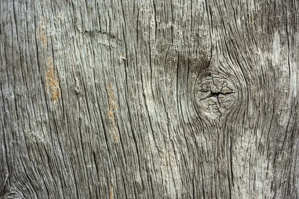 Lumber Gnarl trä-Knut Lumber planka bakgrund — Stockfoto