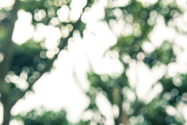 Soyut bokeh ve bulanık renkli doğa arka plan