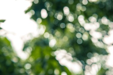 Soyut bokeh ve bulanık renkli doğa arka plan