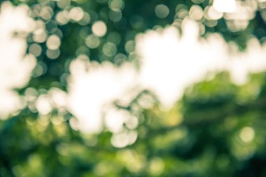 Soyut bokeh ve bulanık renkli doğa arka plan