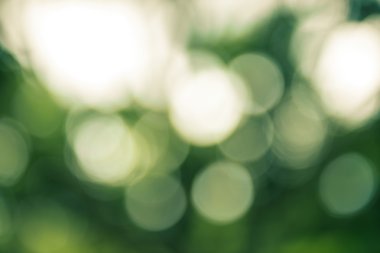 Soyut bokeh ve bulanık renkli doğa arka plan