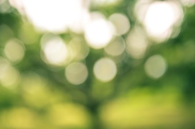 Soyut bokeh ve bulanık renkli doğa adam