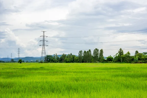 Elektrische net van Polen op de blauwe lucht en groene rijst weide. — Stockfoto
