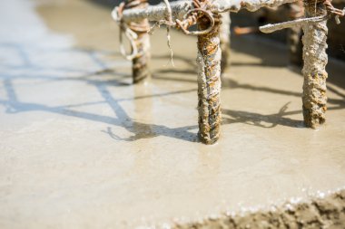 Sıvacı Çimento-Beton Sanayi kat ev