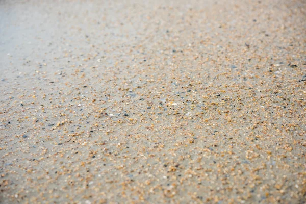 Plasterer concrete cement floor in the home — Stock Photo, Image