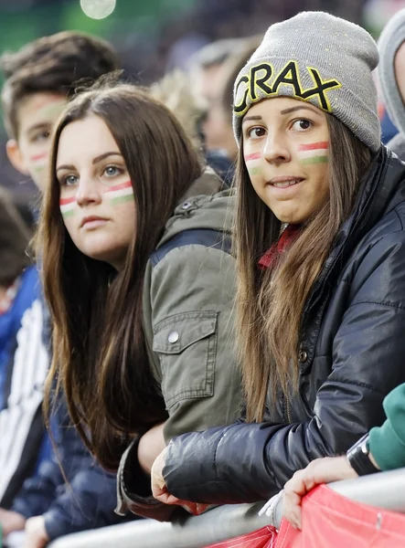 Länderspiel Ungarn gegen Kroatien — Stockfoto