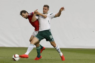 Macaristan vs Kuzey İrlanda uefa euro 2016 niteleyici futbol m