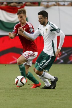 Macaristan vs Kuzey İrlanda uefa euro 2016 niteleyici futbol m