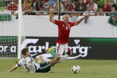 Macaristan vs Kuzey İrlanda uefa euro 2016 niteleyici futbol m