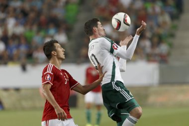 Macaristan vs Kuzey İrlanda uefa euro 2016 niteleyici futbol m