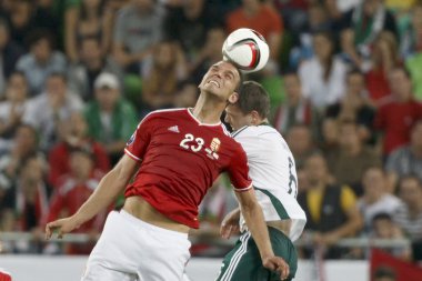 Macaristan vs Kuzey İrlanda uefa euro 2016 niteleyici futbol m