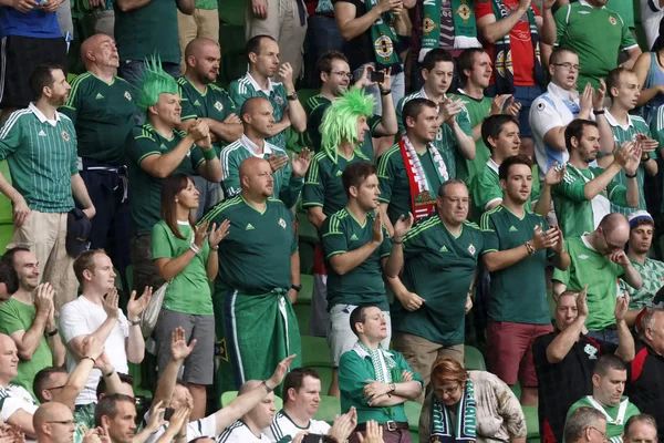 Macaristan vs Kuzey İrlanda uefa euro 2016 niteleyici futbol m