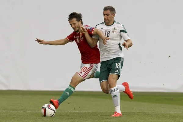 Maďarsko vs. Severní Irsko uefa euro 2016 kvalifikátor fotbal m — Stock fotografie