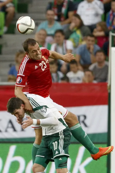 Węgry vs Irlandii Północnej uefa euro 2016 kwalifikator piłki nożnej m — Zdjęcie stockowe