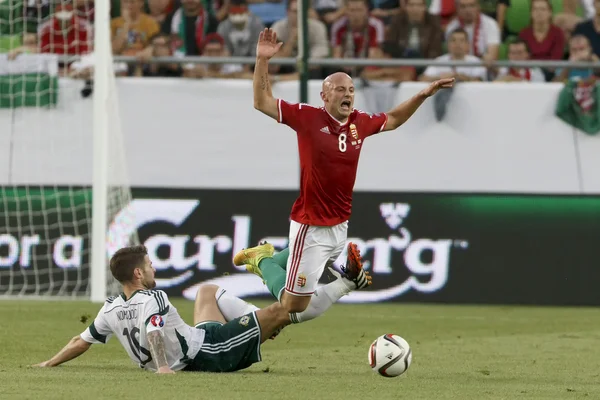 Угорщина проти Північної Ірландії УЄФА Євро 2016 кваліфікатор футбольний м — стокове фото