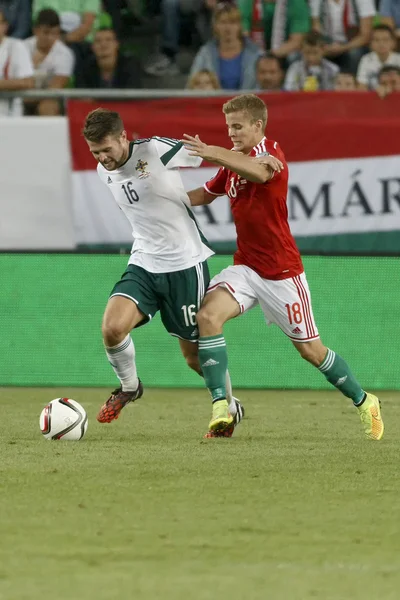 Maďarsko vs. Severní Irsko uefa euro 2016 kvalifikátor fotbal m — Stock fotografie