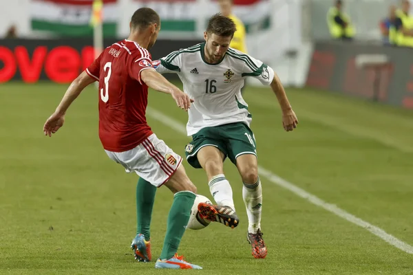 Macaristan vs Kuzey İrlanda uefa euro 2016 niteleyici futbol m