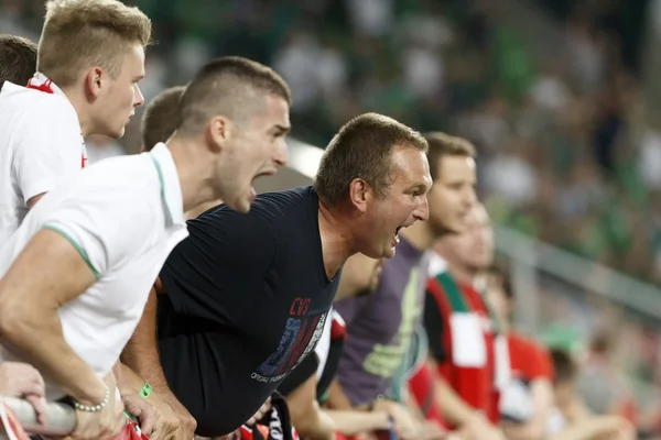 Macaristan vs Kuzey İrlanda uefa euro 2016 niteleyici futbol m Telifsiz Stok Imajlar