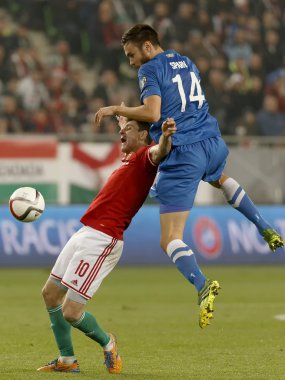 Finlandiya Uefa Euro 2016 vs Macaristan niteleyici futbol maçı