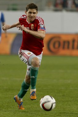 Finlandiya Uefa Euro 2016 vs Macaristan niteleyici futbol maçı