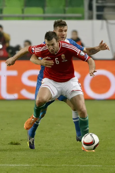 Finlandiya Uefa Euro 2016 vs Macaristan niteleyici futbol maçı