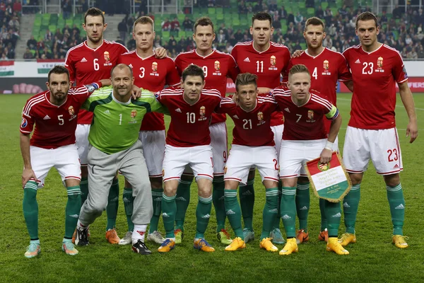 Finlandiya Uefa Euro 2016 vs Macaristan niteleyici futbol maçı — Stok fotoğraf